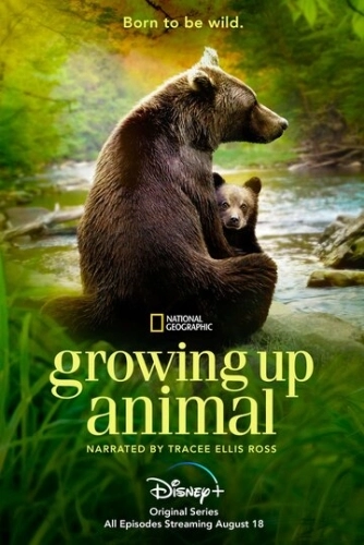 Growing Up Animal